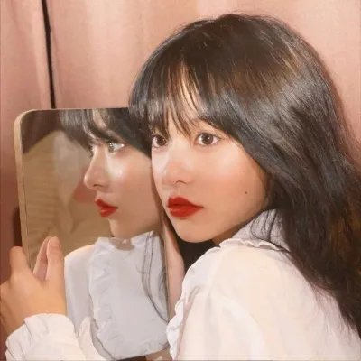全员嫌疑人