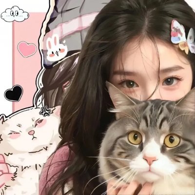 爱猫之城